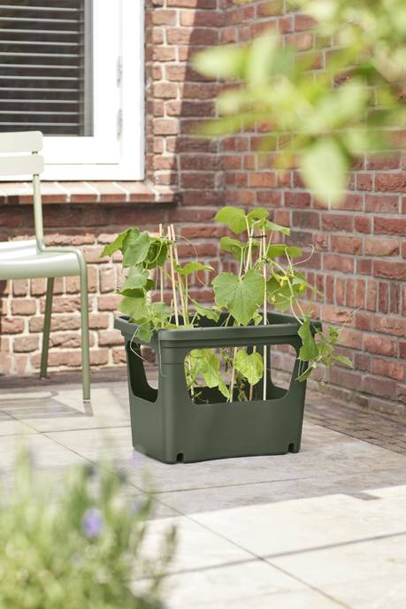 green basics stack & grow large leaf green